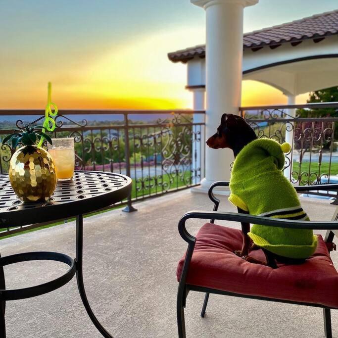 Que Syrah Temecula - Villa With 9 Bedroom 7 Ba With Spa In Wine Country Eksteriør billede